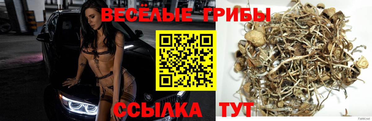 Псилоцибиновые грибы MAGIC MUSHROOMS  Вход с VPN  Вышний Волочёк 